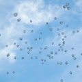 vbox5245_IWN_2084_190401_small_v16.JPG