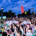 vbox8205_TAO_4871_193452_small.JPG