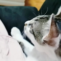 QQ短视频20210713015104.mp4