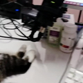 QQ短视频20210713203432.mp4