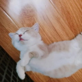 QQ视频20210808011957.mp4