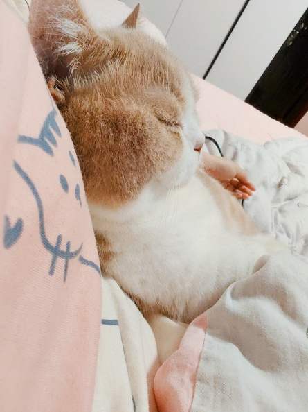 3afc837e16bd0fbc08cd9bc8852a5cc35055 (1).jpg