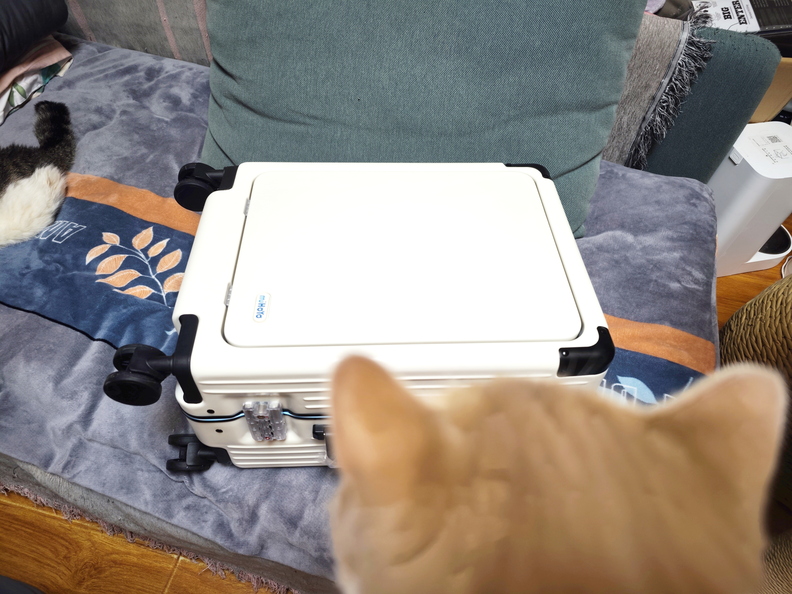 922e661ef77636647d4dc1365af3da315055 (1).jpg